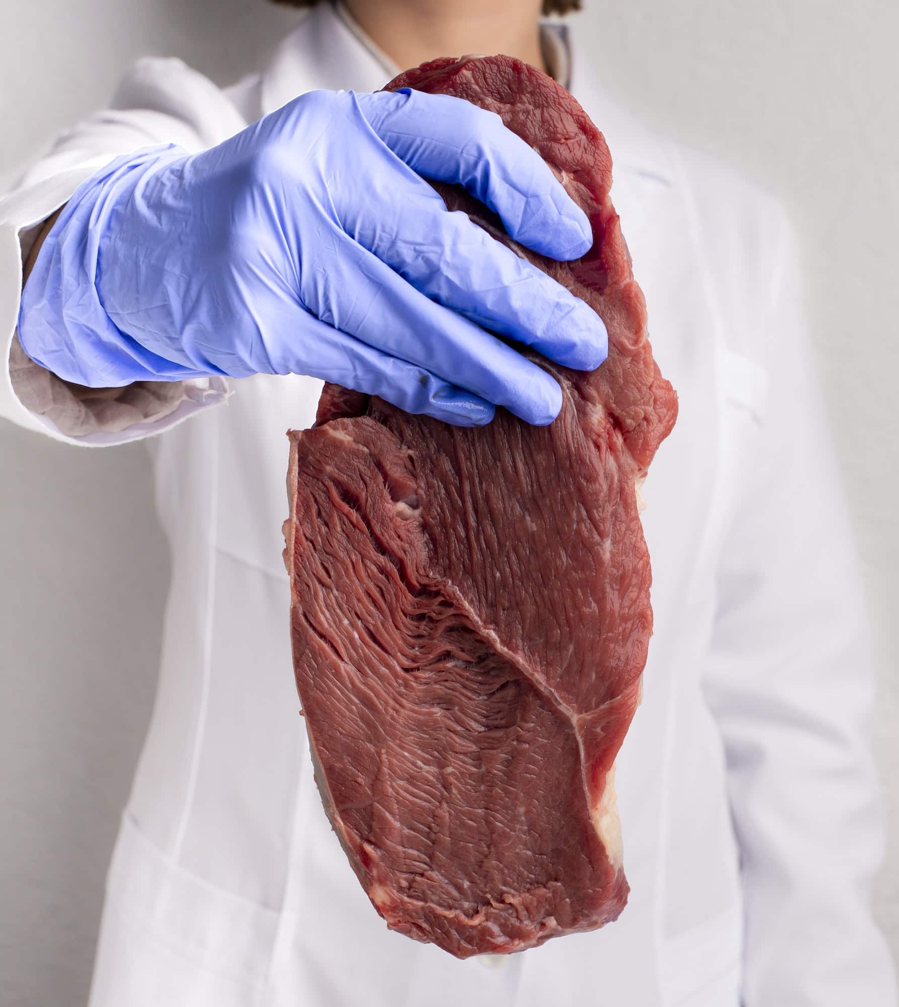 Scientist in gloves holds raw meat, cropped